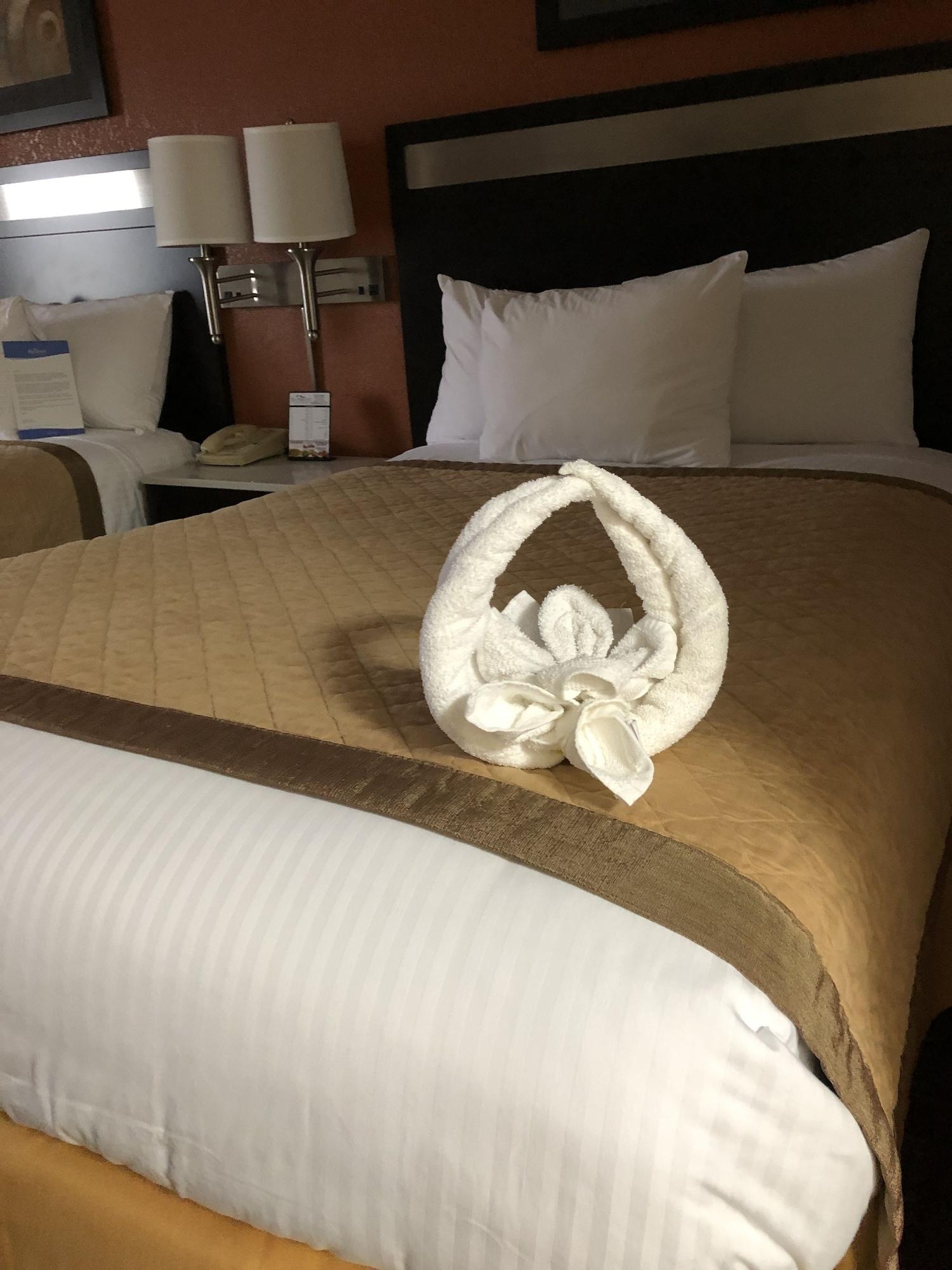 Baymont By Wyndham Cincinnati شارونفيل المظهر الخارجي الصورة